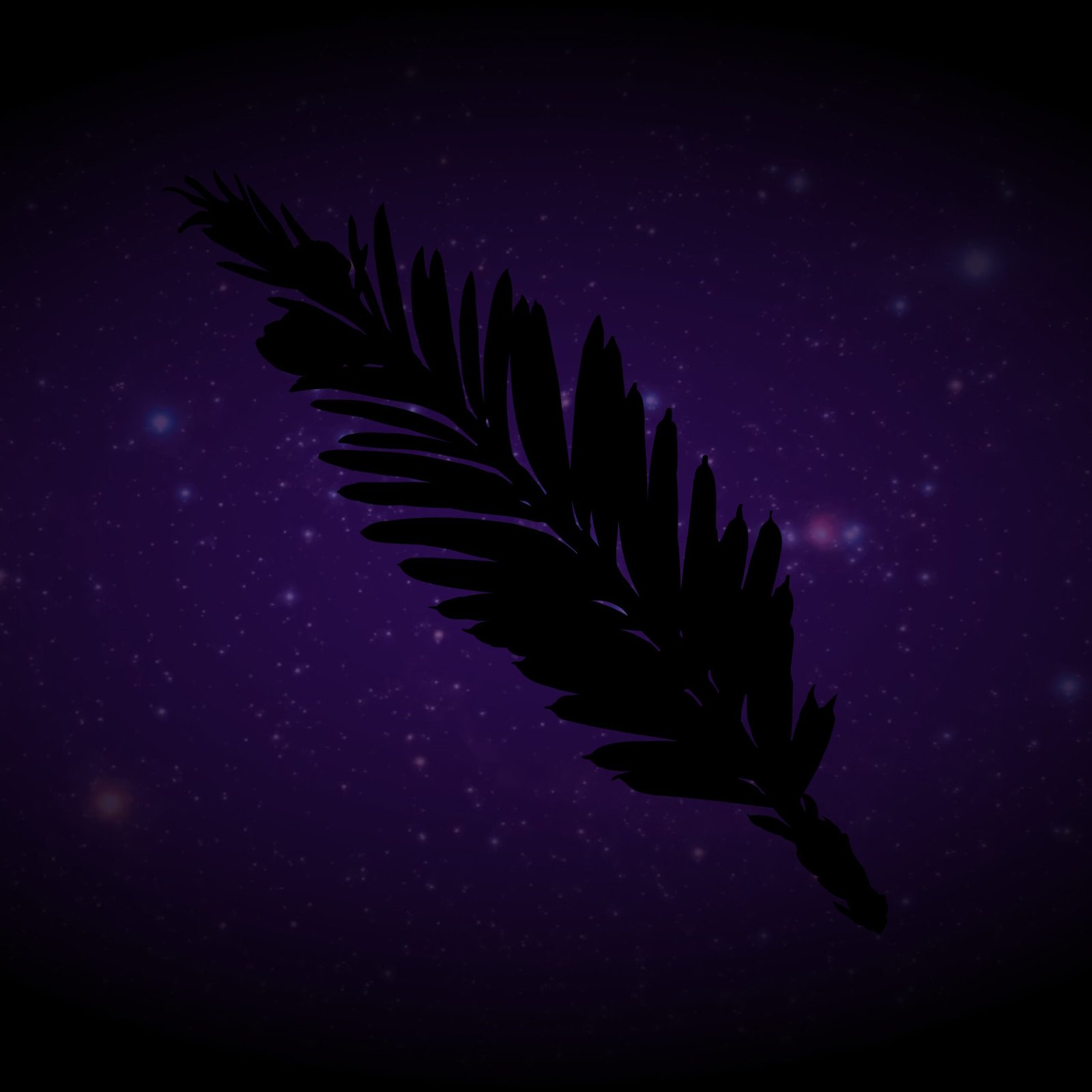 Sequoia Sempervierns Astrofizik illustration background